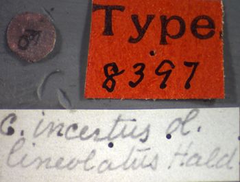 Media type: image;   Entomology 8397 Aspect: labels